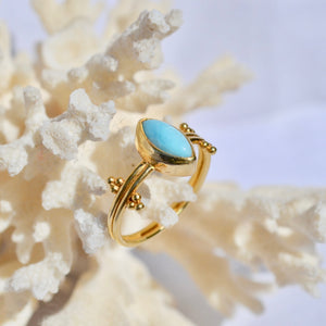 The Mata eye ring - Larimar