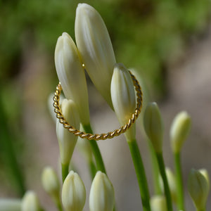 Simple Gold twist ring